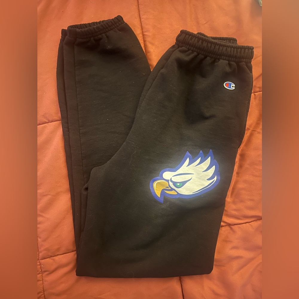 Men’s Champions Black Florida Gulf Coast University Eagles AthleticWear (M)